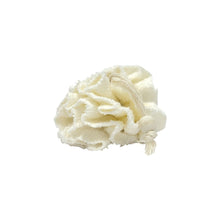 Load image into Gallery viewer, bamboofibrespongecloverfeilds