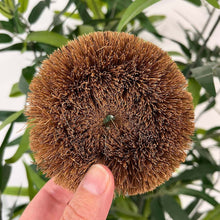 Load image into Gallery viewer, scourer by eco coconut set of 2 pack coconut fibres
