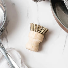 Load image into Gallery viewer, potscrubberbyevereconaturalandnoplasticbrush