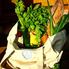 Load image into Gallery viewer, Be Real Co. Shopping Starter Bundle - Be Real Co. for mother earth