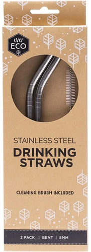 stainless steel straw by ever eco 2 pack no plastic 