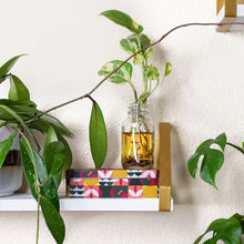 Load image into Gallery viewer, Decorative shelf with a bottle of oil, colorful box, and plants on a white wall.
