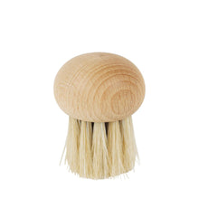 Load image into Gallery viewer, Wooden dish brush with bristle head on a white background
