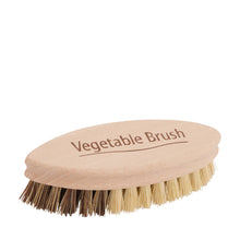 Load image into Gallery viewer, Wooden vegetable brush with bristles on a white background
